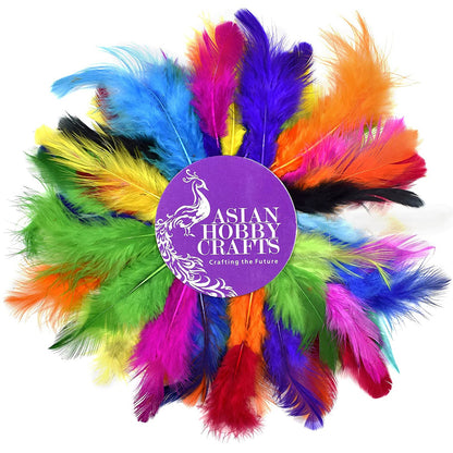 Natural Color Dyed Feathers, Pack of 50 Pieces Multicolor