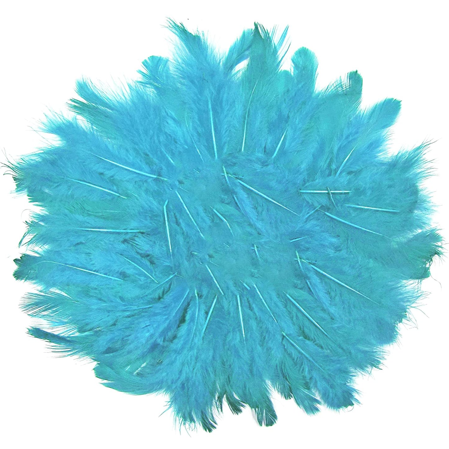 Naturally Dyed Feathers Pack of 80 Pcs